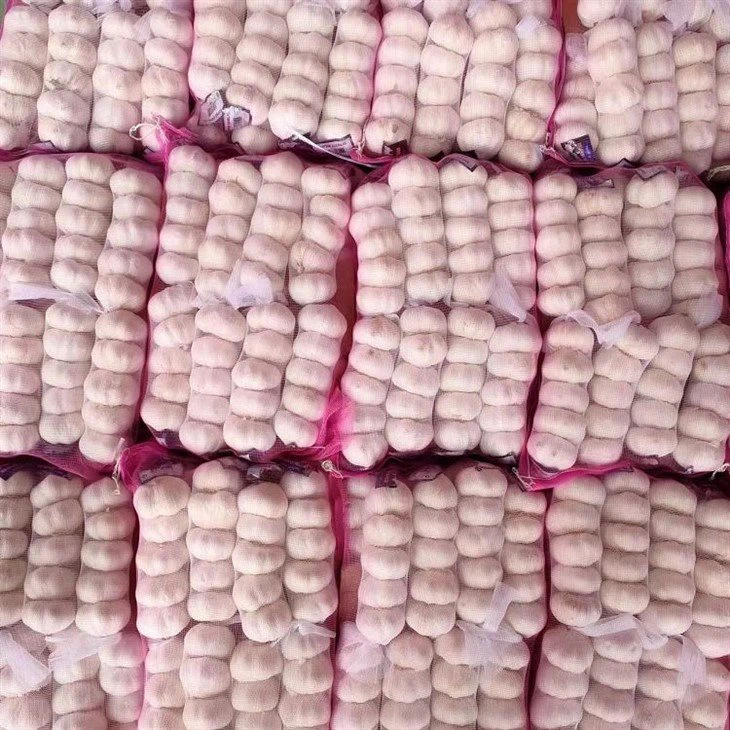 5p fresh garlic in mesh bag